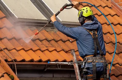 Démoussage et hydrofuge de toiture à They-sous-Montfort